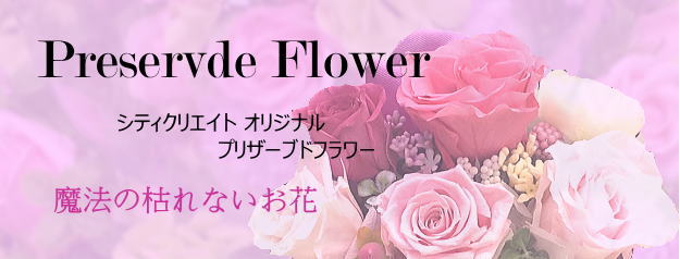 �v���U�[�u�h�t�����[